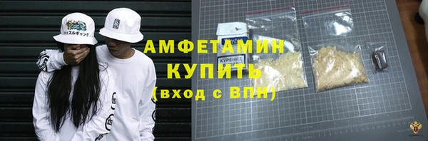 гашик Козловка