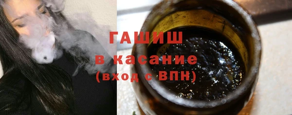 гашик Козловка