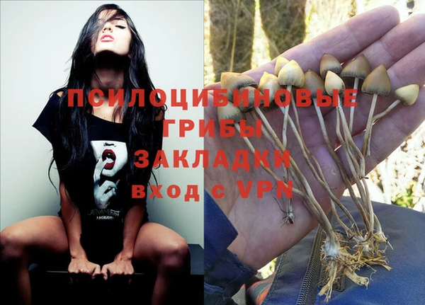 гашик Козловка