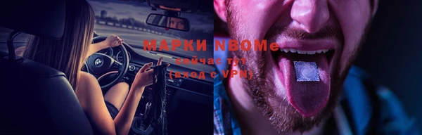 гашик Козловка