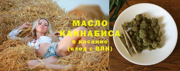 гашик Козловка