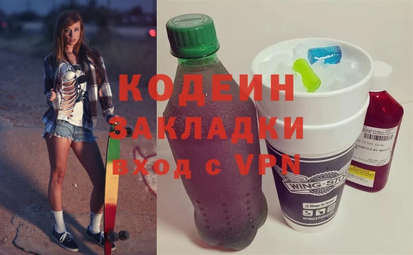 гашик Козловка