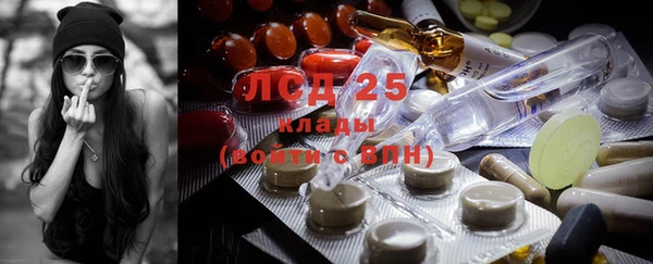 гашик Козловка