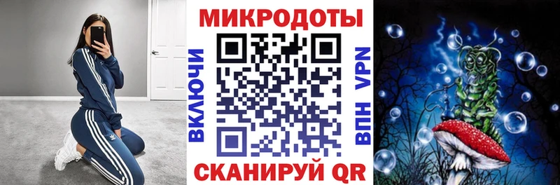 Галлюциногенные грибы мицелий  продажа наркотиков  Архангельск 