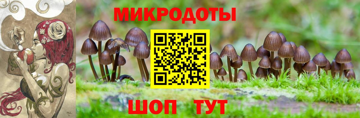 Галлюциногенные грибы прущие грибы Архангельск