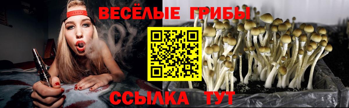 Псилоцибиновые грибы Psilocybine cubensis  Вход с VPN  Архангельск 